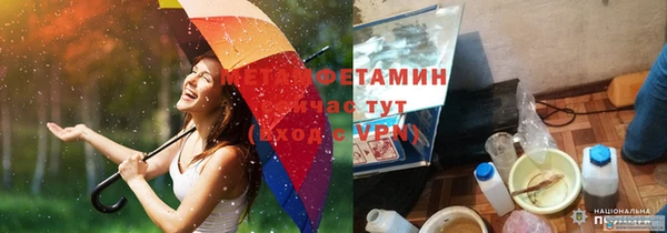трава Коряжма