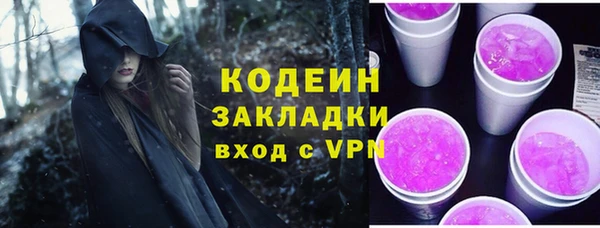 индика Костерёво
