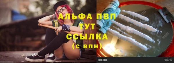 индика Костерёво
