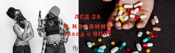 трава Коряжма