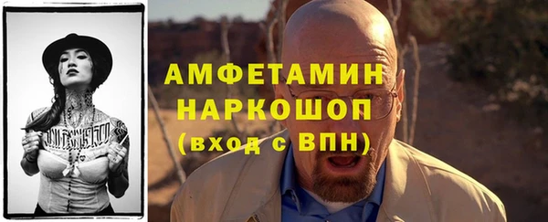 трава Коряжма