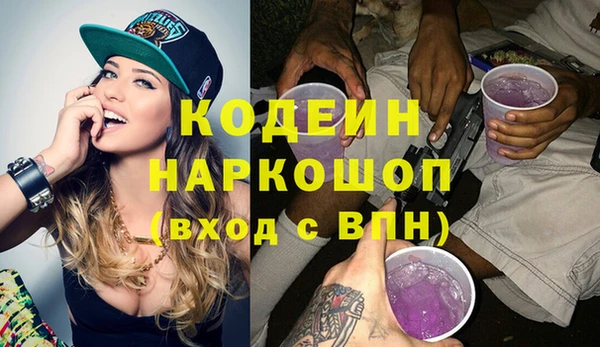 индика Костерёво