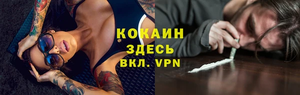 индика Костерёво