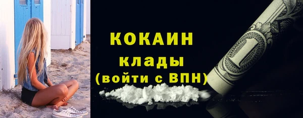 трава Коряжма