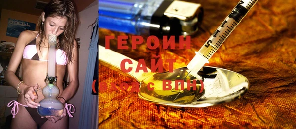 индика Костерёво