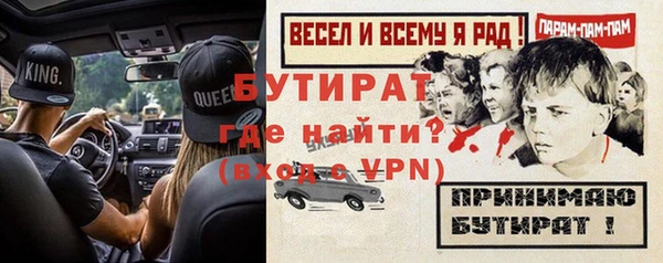 индика Костерёво