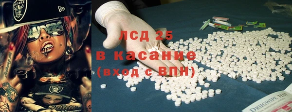 индика Костерёво