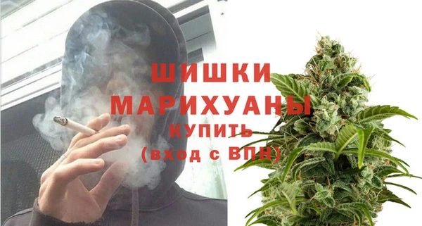 трава Коряжма