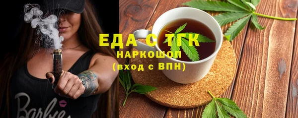 индика Костерёво