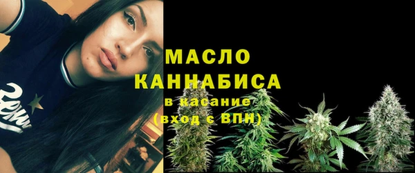 индика Костерёво