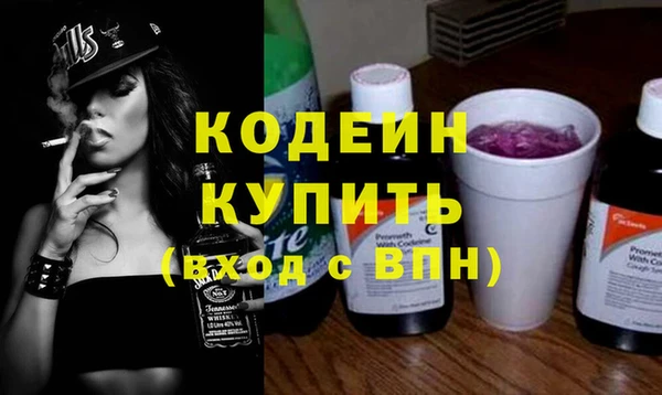 индика Костерёво