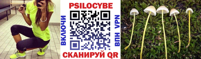 Галлюциногенные грибы Cubensis  наркота  Куровское 